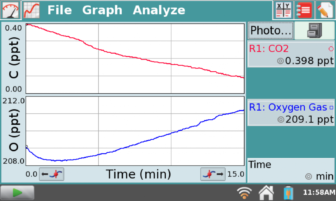Measuring gases during photosynthesis